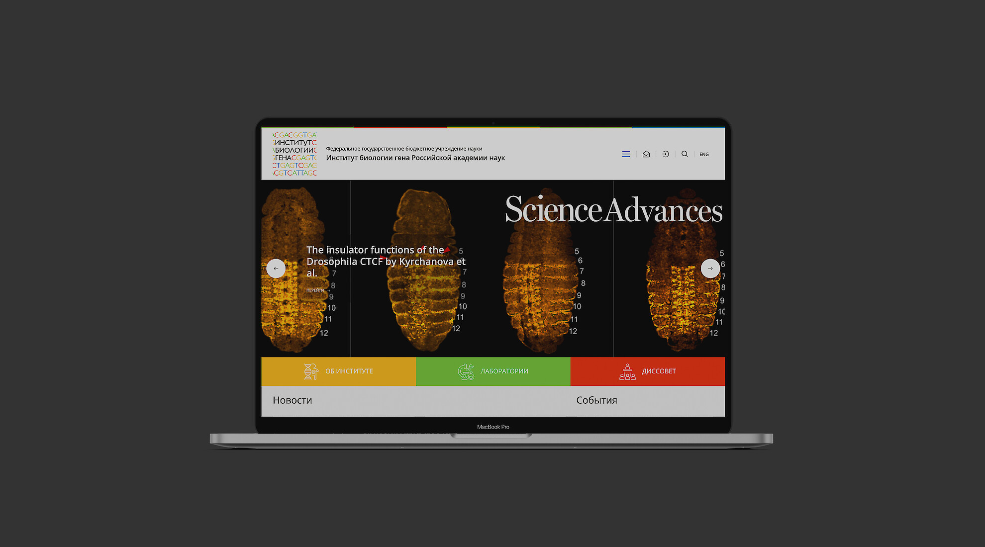 Website for the Institute of Gene Biology of the Russian Academy of Sciences