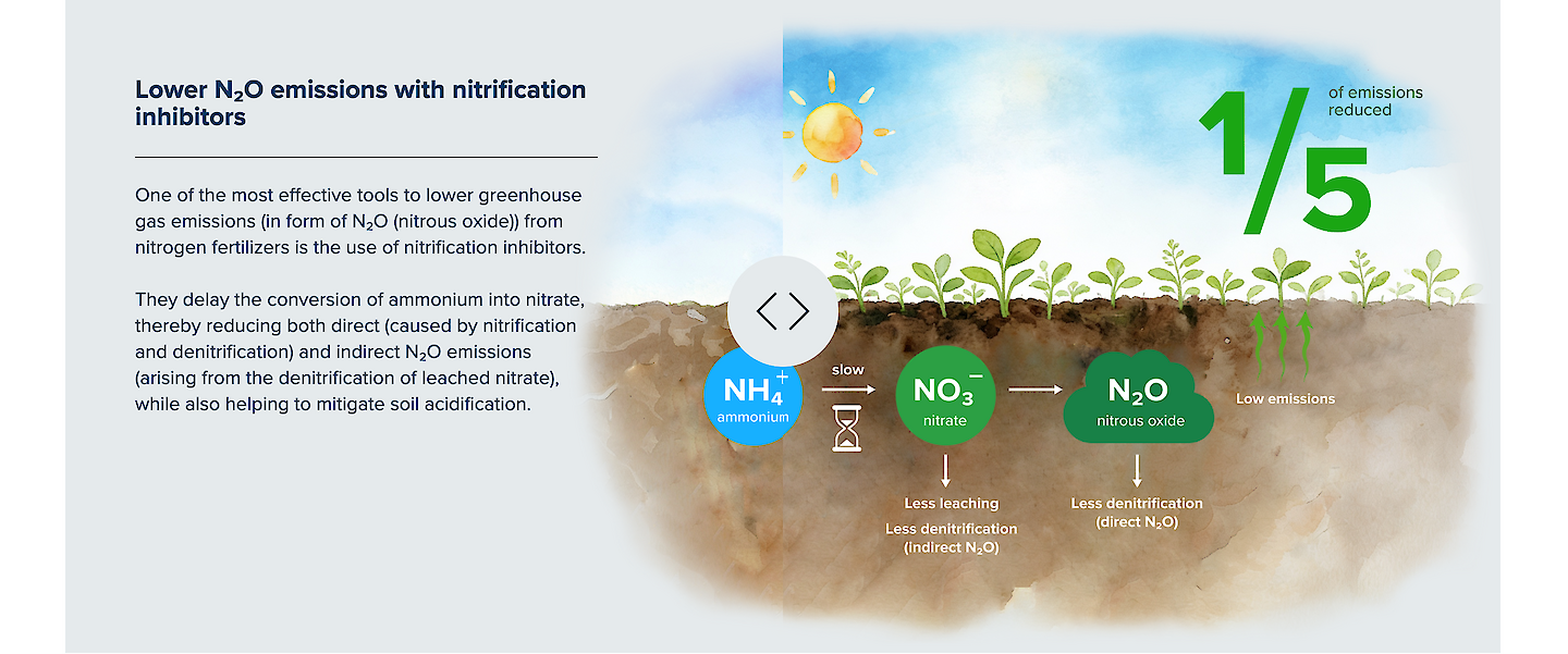 Секция 5 цифрового спецпроекта EuroChem CO₂